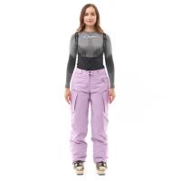 Dragonfly Штаны горнолыжные утепленные Gravity 2025 Woman Purple в Туле